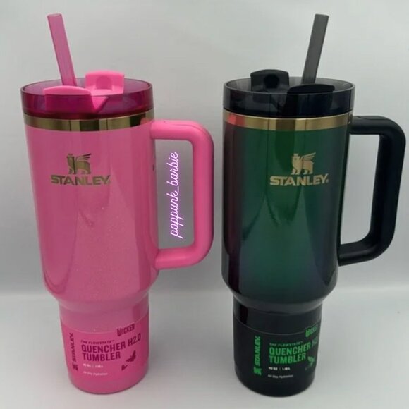 Stanley Wicked Tumbler SET - Picture 1 of 16